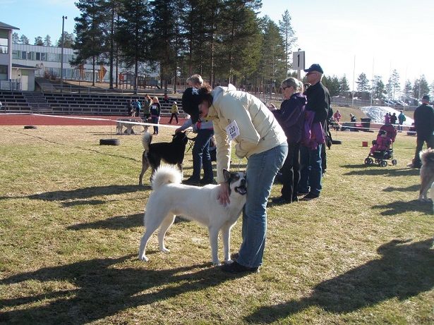 Valkko Posio 07052016