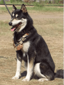 Näyttökuva 2017-05-16 kello 10.11.09