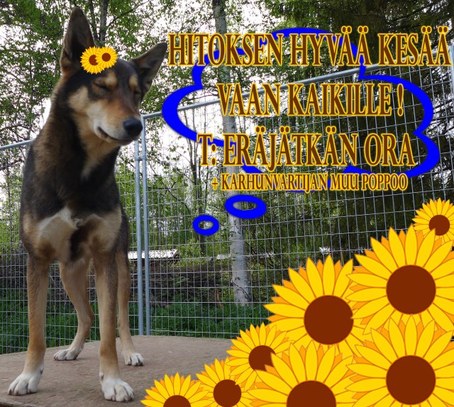 kesätoivotus Ora 24062017