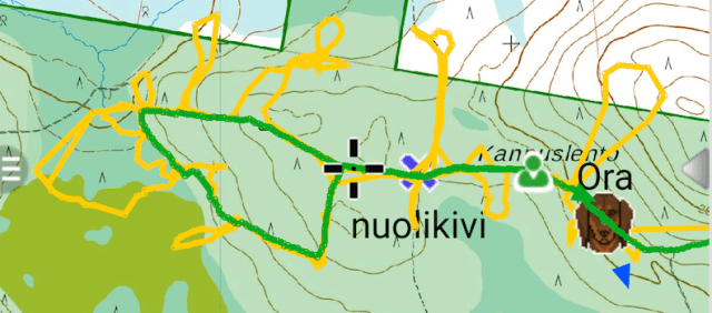 Ora hakuteho 11092017