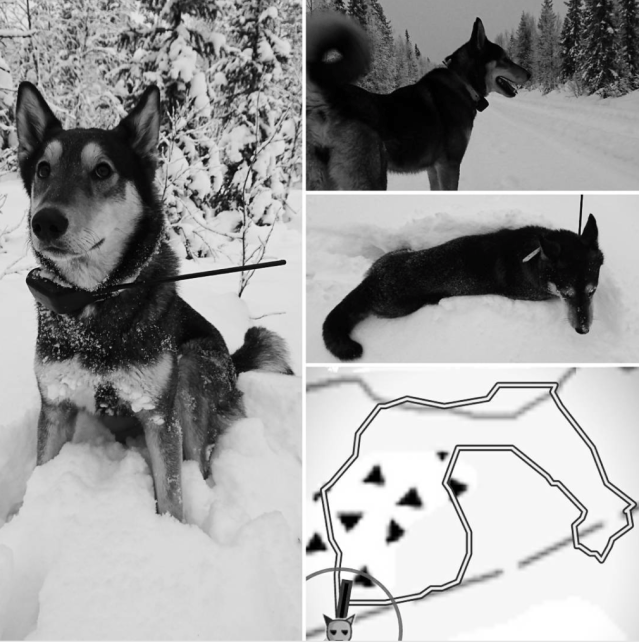 Eräjätkän Ora 01122017