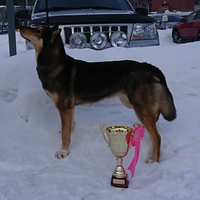 IMG_20180304_151321_899