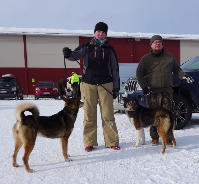 Eräjätkän Ora ja Eräjätkän Sakaali sekä kasvattaja Antti Haataja