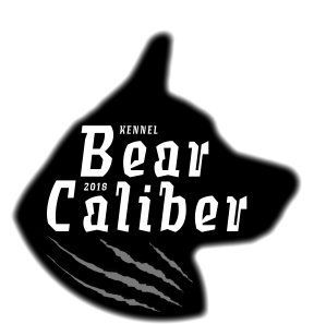 Kennel Bear Caliber logo 2020 Anu Lipsanen